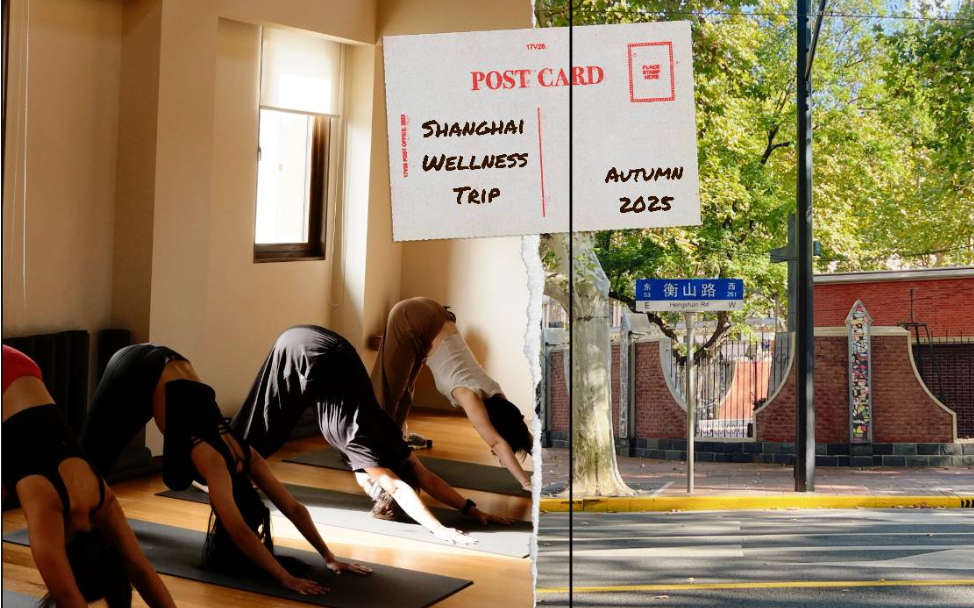 상해에서 구독자분들과 함께 수련하게 될 줄이야, 특별한 추억이 생겼어요 🌼