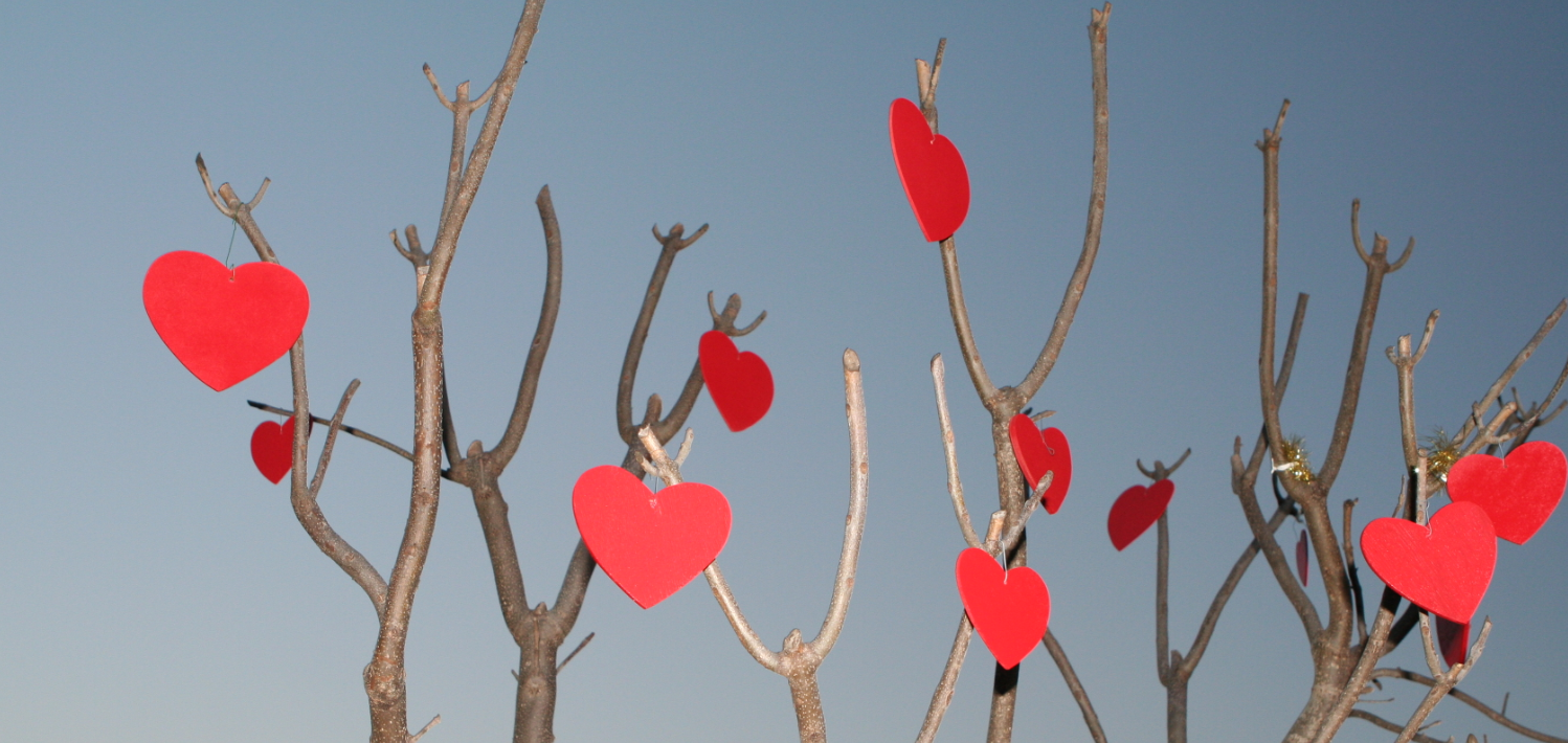 3분 스페인어 - 발렌타인 데이의 썸네일 이미지