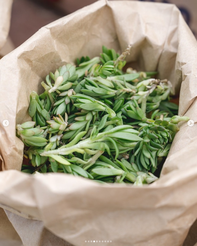 이미지 출처 : 농부시장 마르쉐 인스타그램