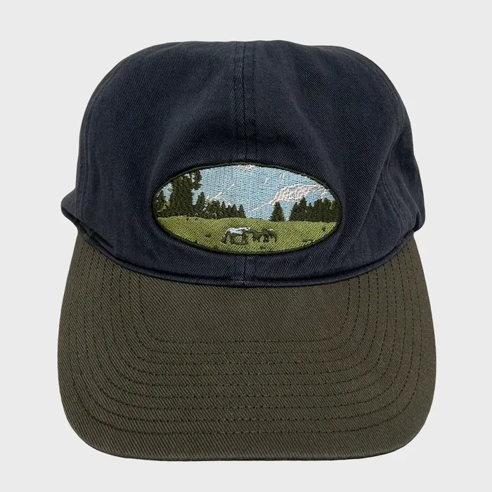 더콜디스트모먼트의 TCM field cap (navy)