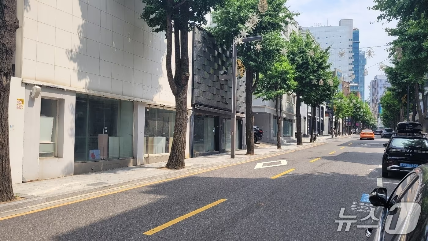 ⓒ 가로수길 공실 사진, 뉴스1