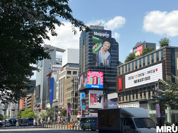 &nbsp; ⓒ 사진출처 : 개인블로그(https://blog.naver.com/gracer77/224247489328, https://blog.naver.com/miruad_ojw/224278662482)