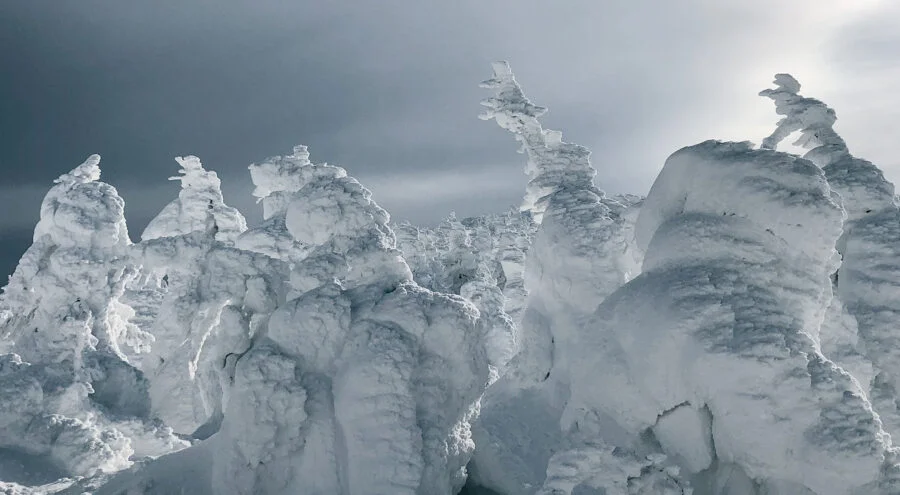 일본에서 발견되는 스노우 몬스터의 썸네일 이미지