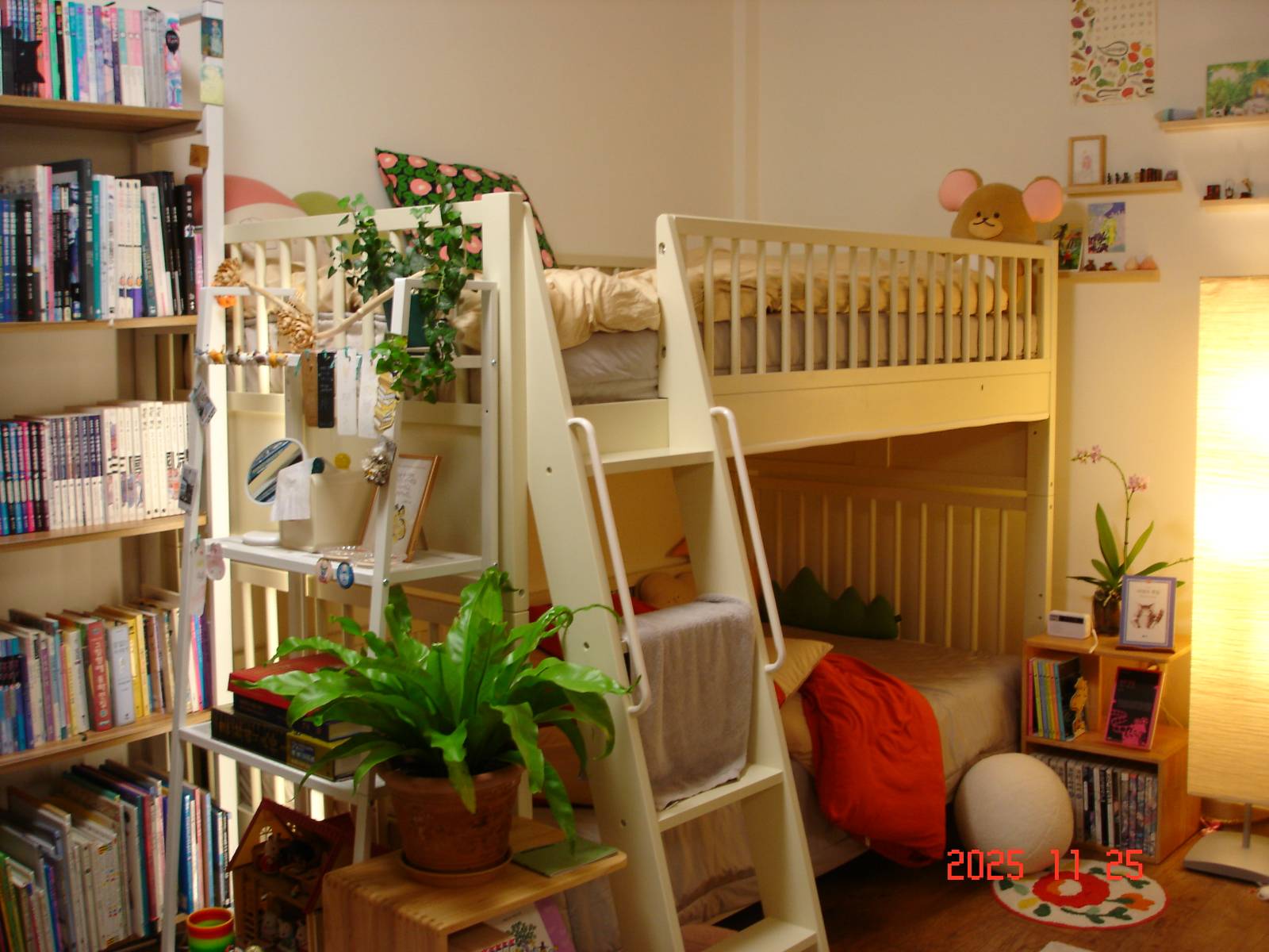 📚 서점 사장, 포상 휴가 갔다가 책에 묻혀 잠들다의 썸네일 이미지