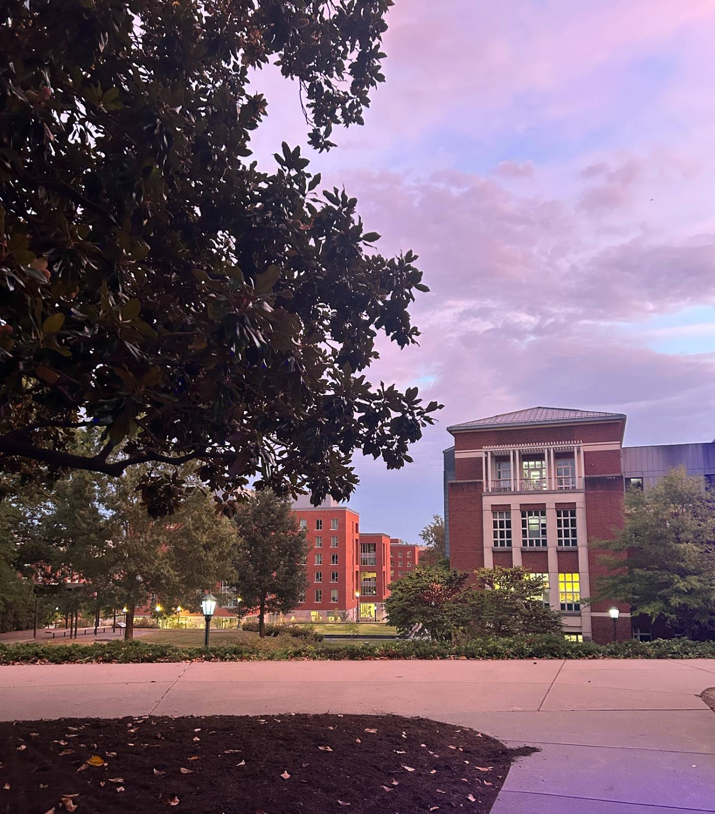 일곱 번째 편지 - 타인의 시선으로부터 멀리의 썸네일 이미지