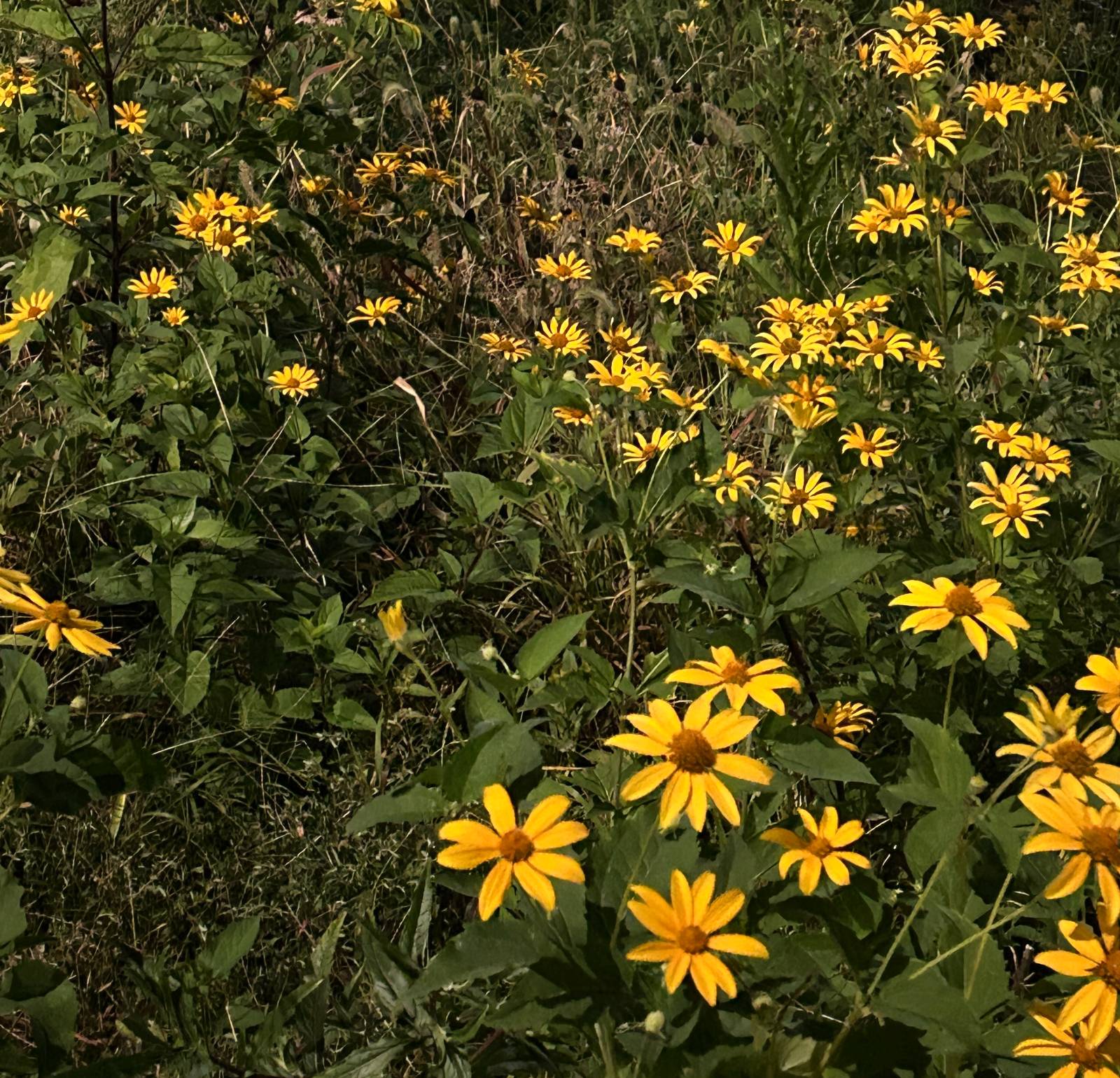 여덟 번째 편지 - How are you?의 썸네일 이미지