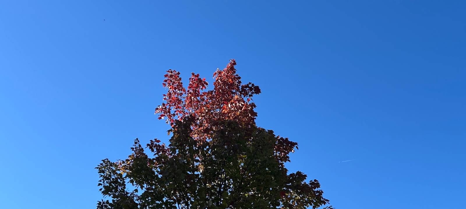 아홉 번째 편지 - 조금만 더의 썸네일 이미지