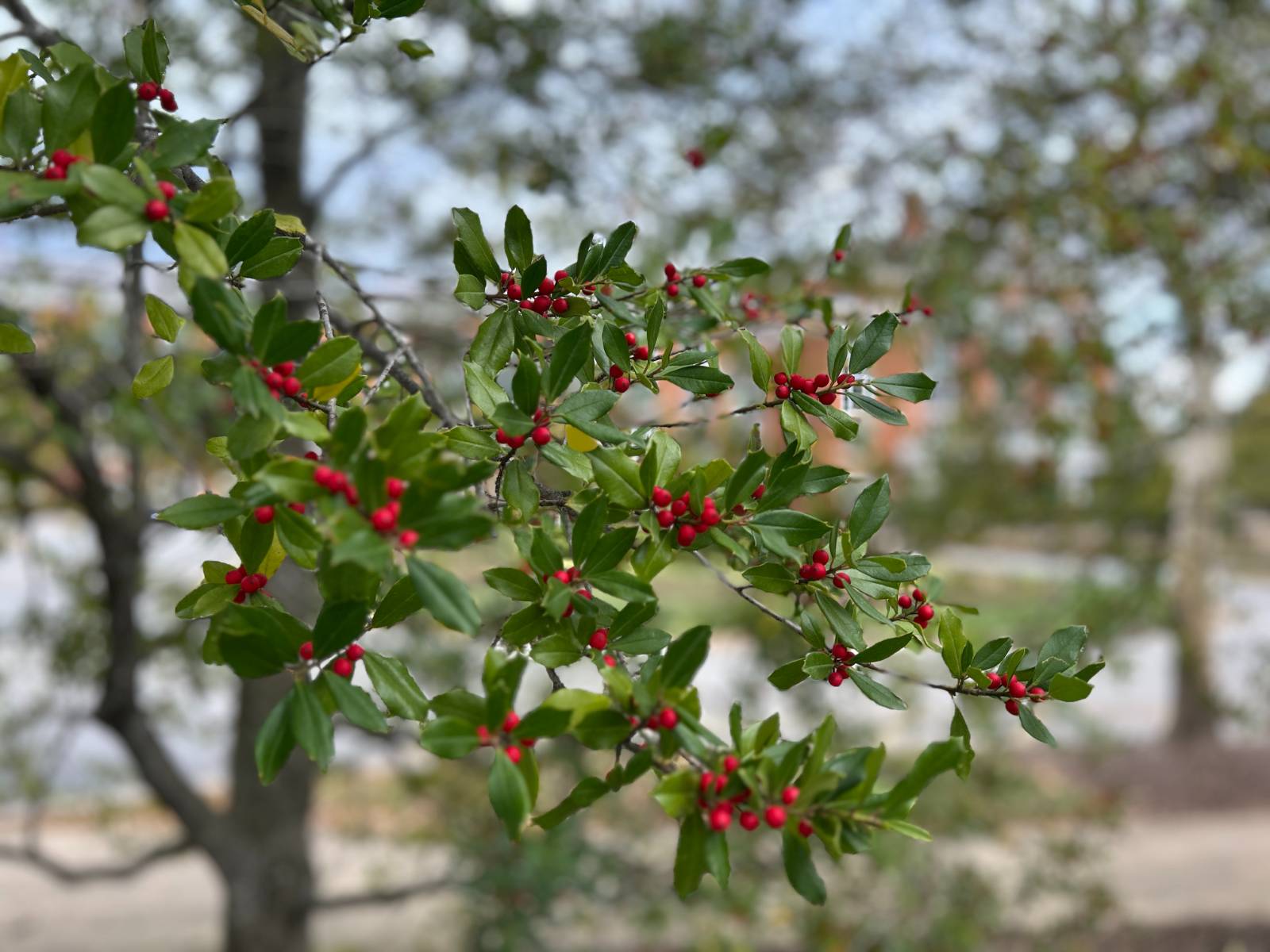 열한 번째 편지 - 명랑한 마음의 썸네일 이미지