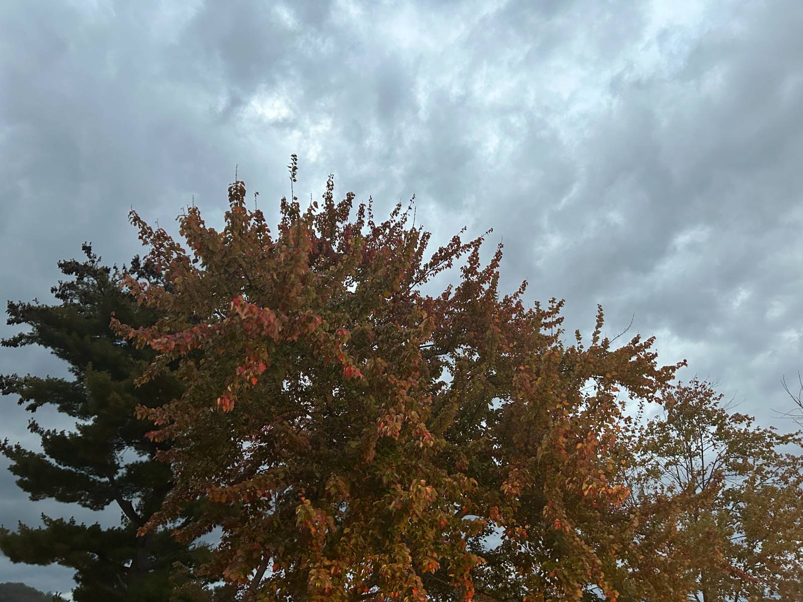 열두 번째 편지 - 작은 즐거움들을 모아의 썸네일 이미지