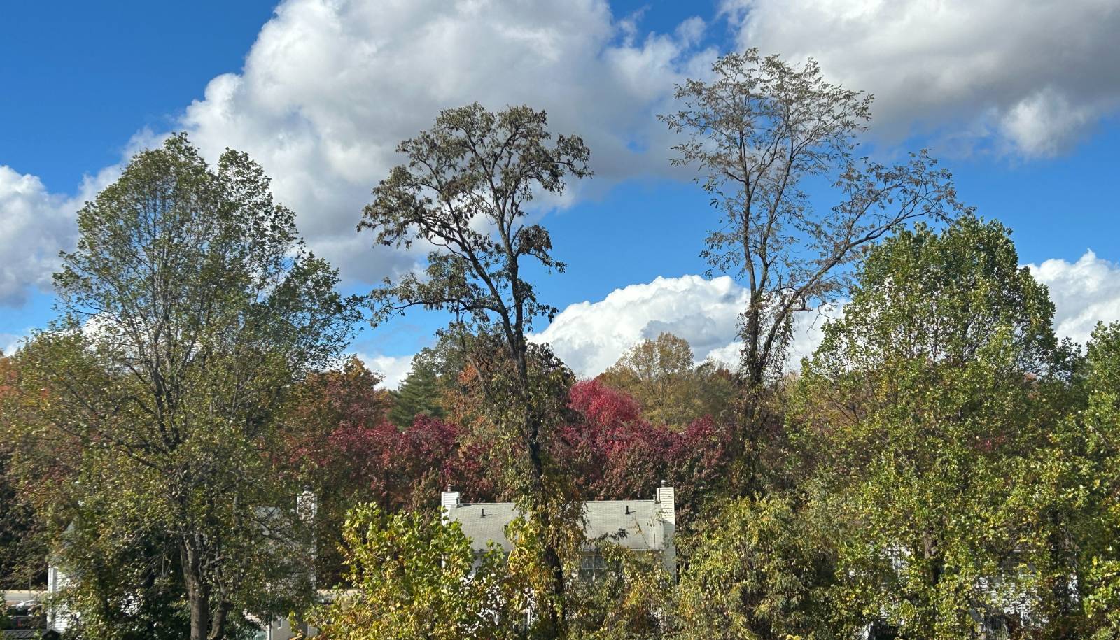 열세 번째 편지 - 고독을 즐겨라의 썸네일 이미지