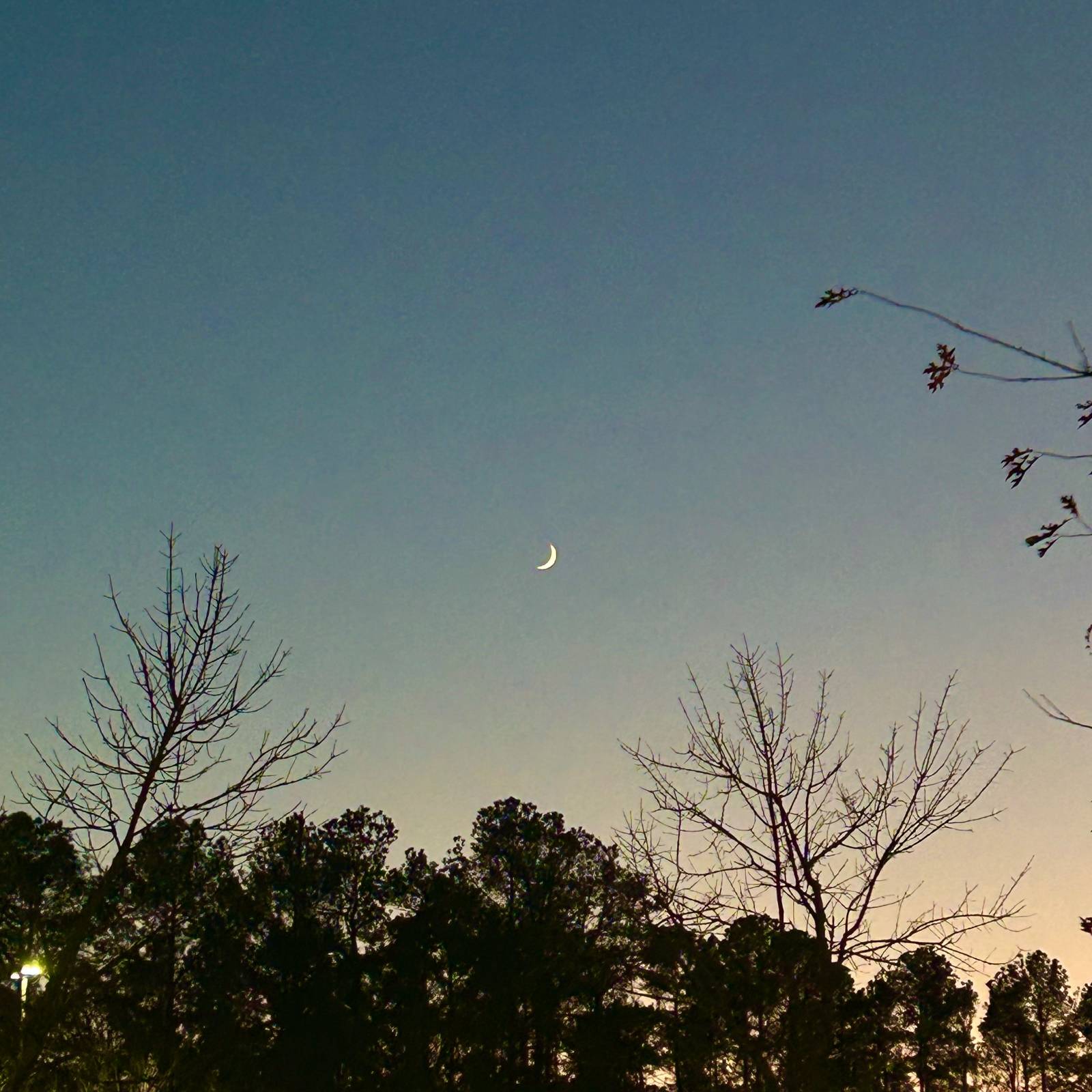 열여섯 번째 편지 - 중심이 필요해의 썸네일 이미지