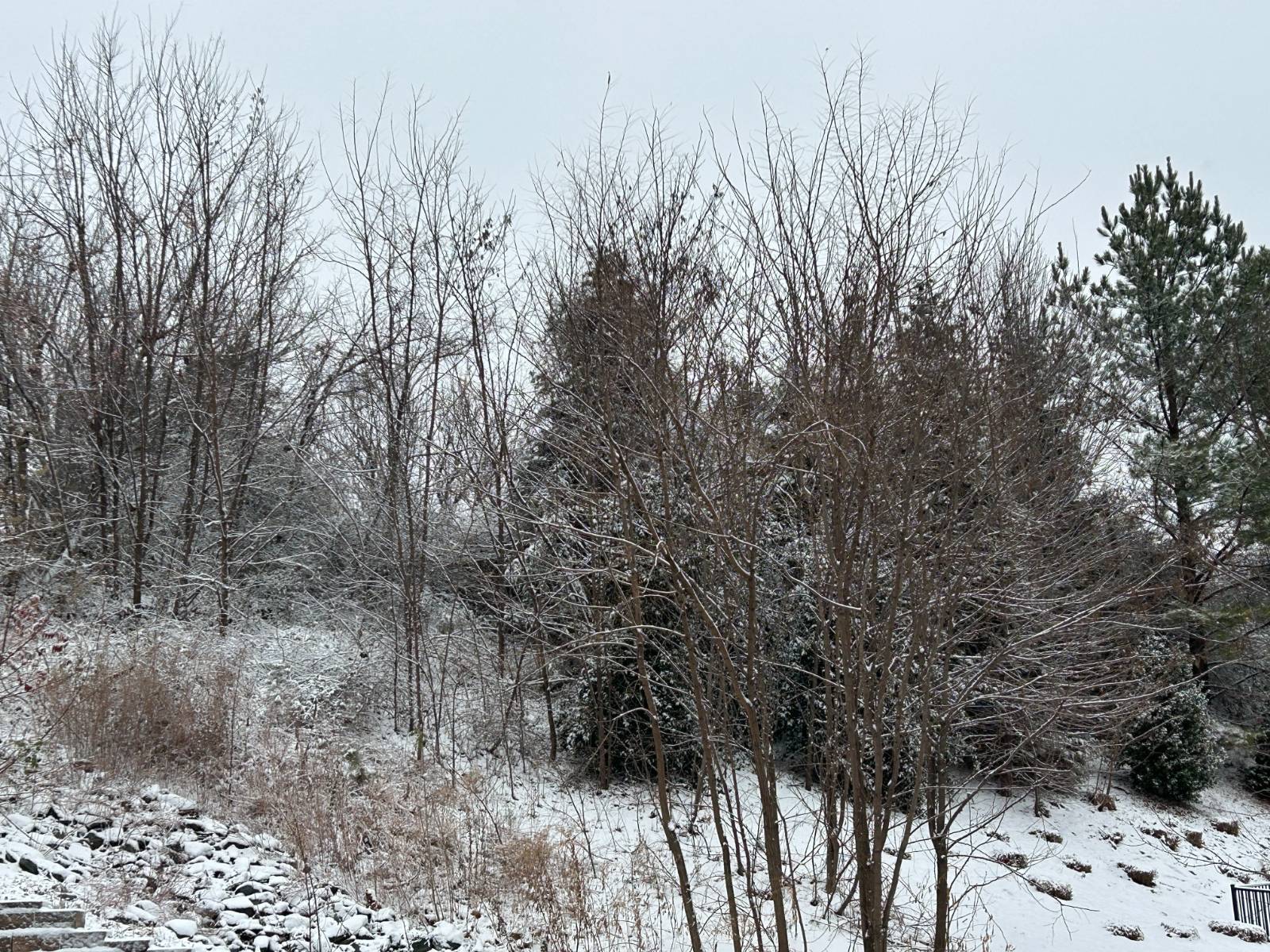 이 곳에도 눈이 오기 시작했다