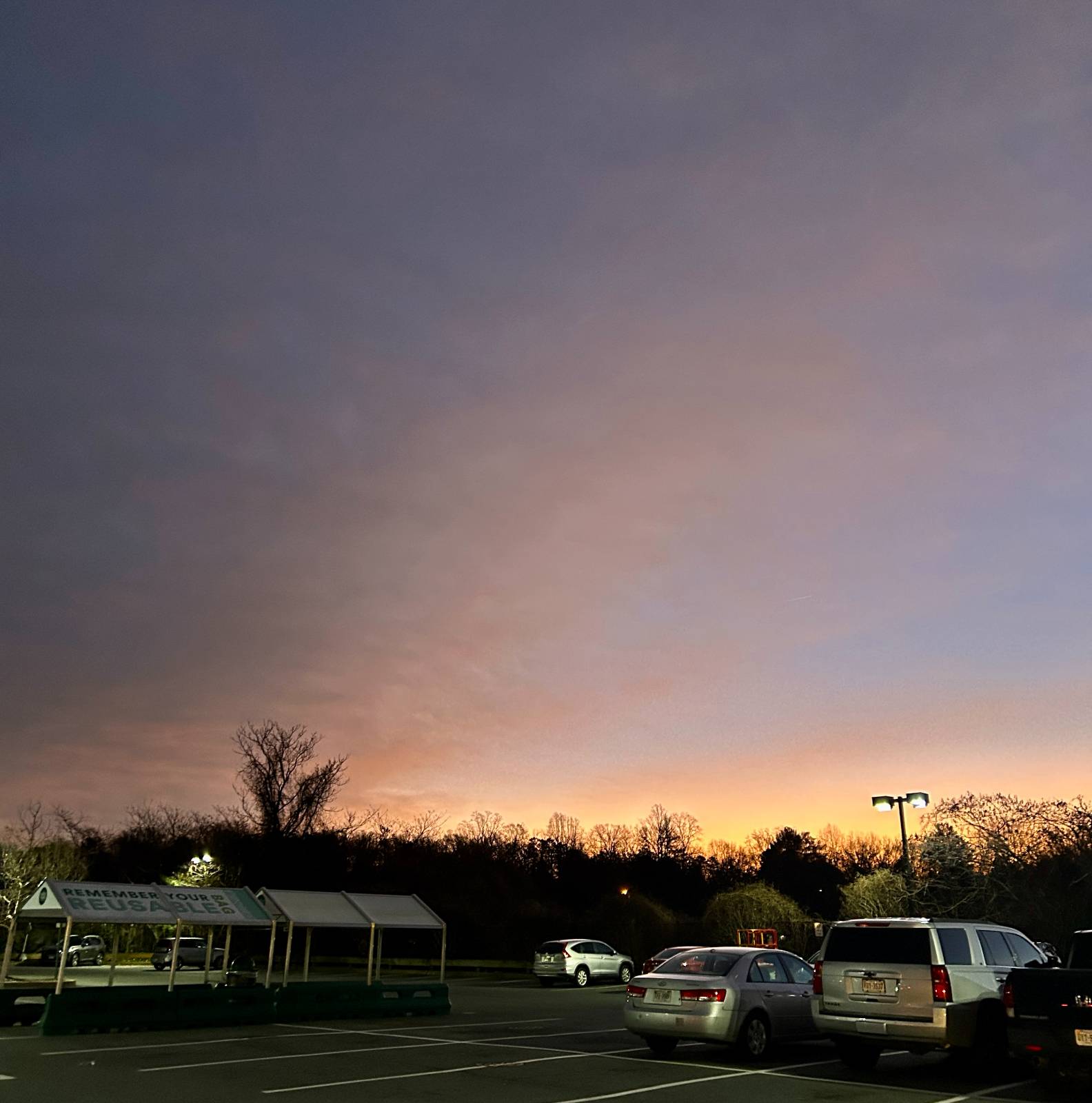 020 - 일상 조각의 썸네일 이미지