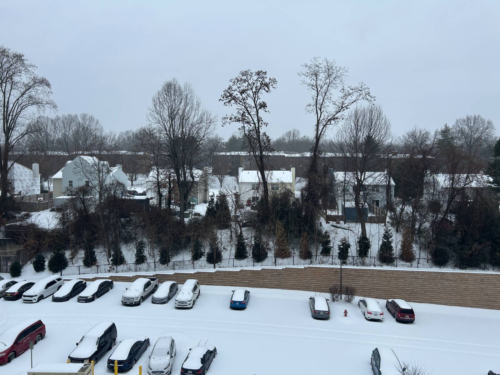 021 - 조직과 한파의 썸네일 이미지