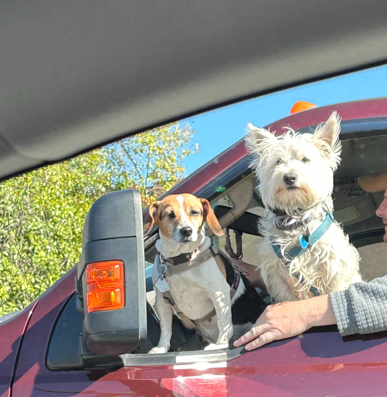 029 - 활력 되찾기 프로젝트의 썸네일 이미지