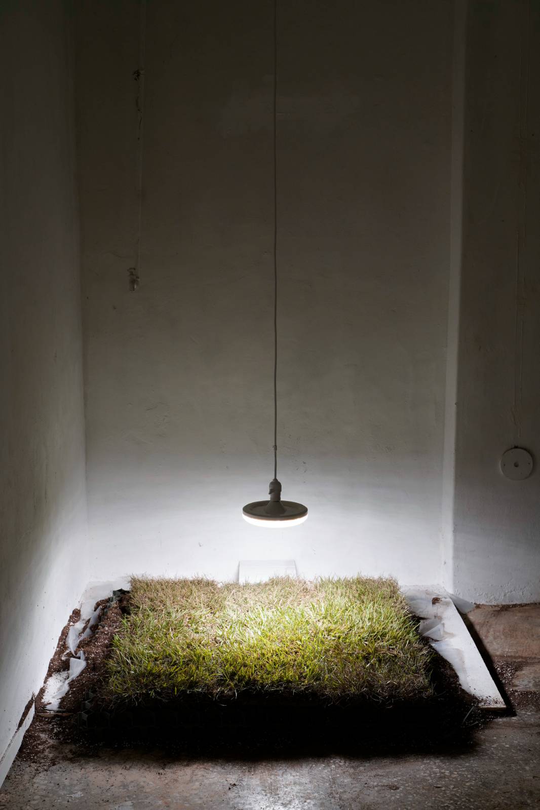 작품 <그럴듯하지만>(이미지 5) [출처: 공간유보]