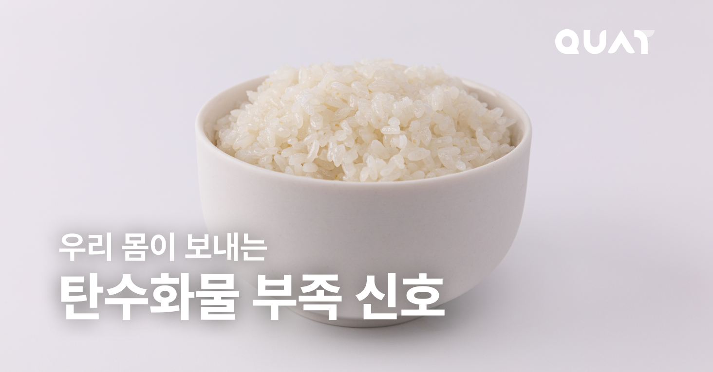 살 빼려면 탄수화물 무조건 줄여야 한다?의 썸네일 이미지