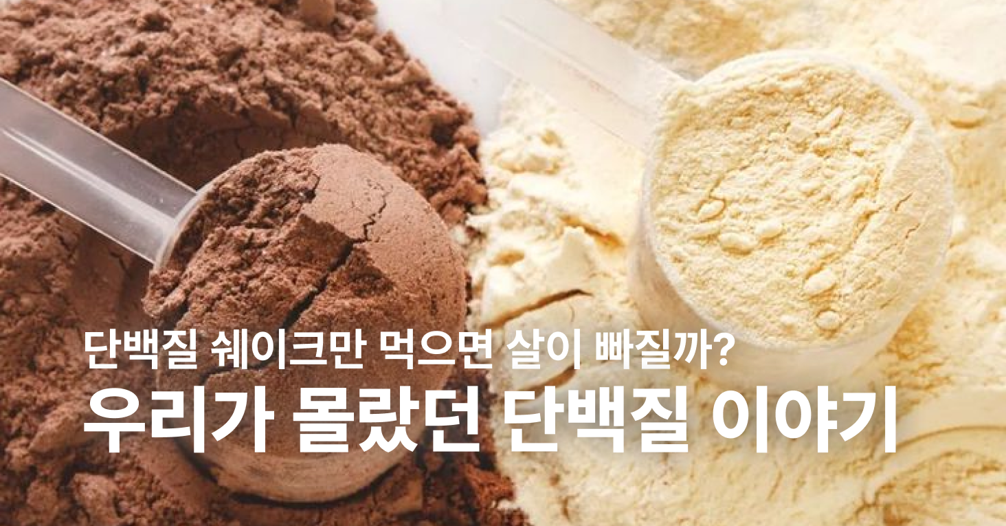 단백질 쉐이크만 먹으면 살이 빠질까?의 썸네일 이미지