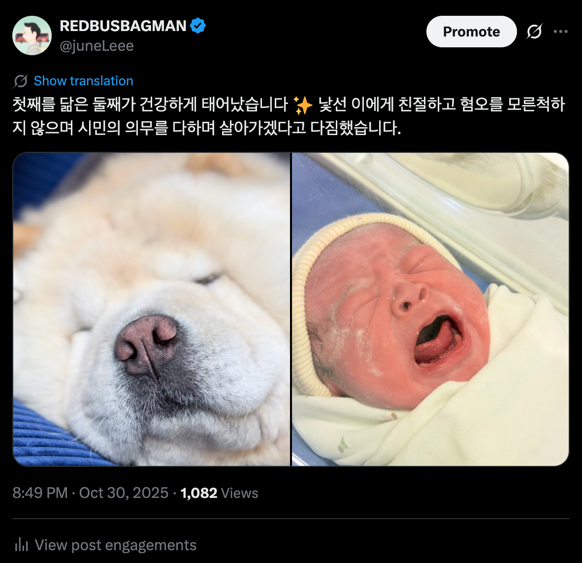 신생아의 모습은 