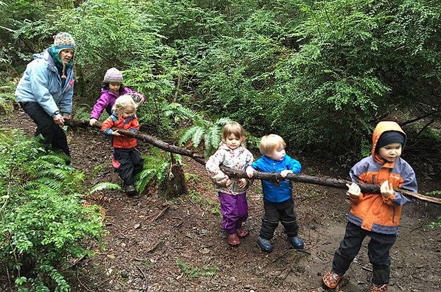 Preschool in the forest (참고 이미지)