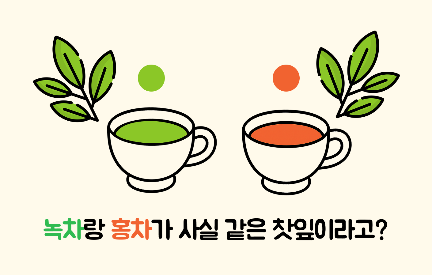 녹차와 홍차가 사실 같은 찻잎이라고?의 썸네일 이미지