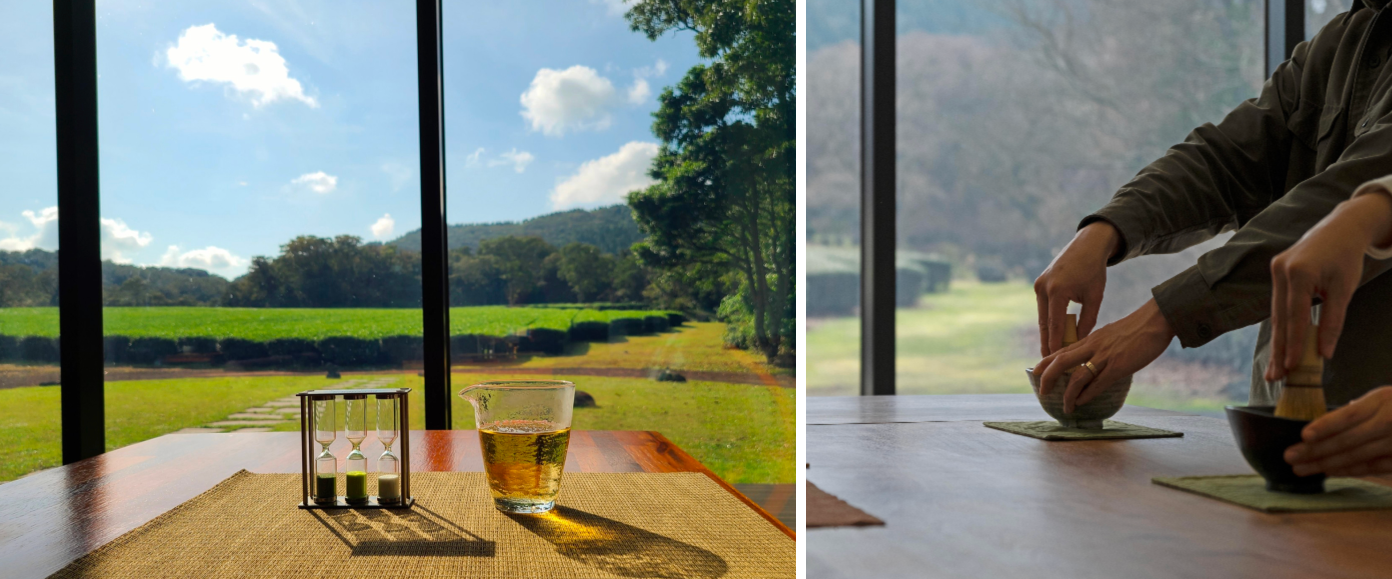 이미지 출처 : 올티스 공홈