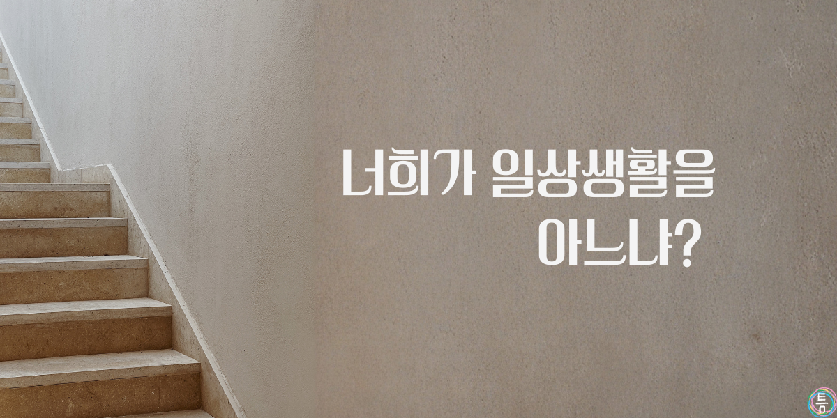 44호: 너희가 일상생활을 아느냐? 🧶의 썸네일 이미지