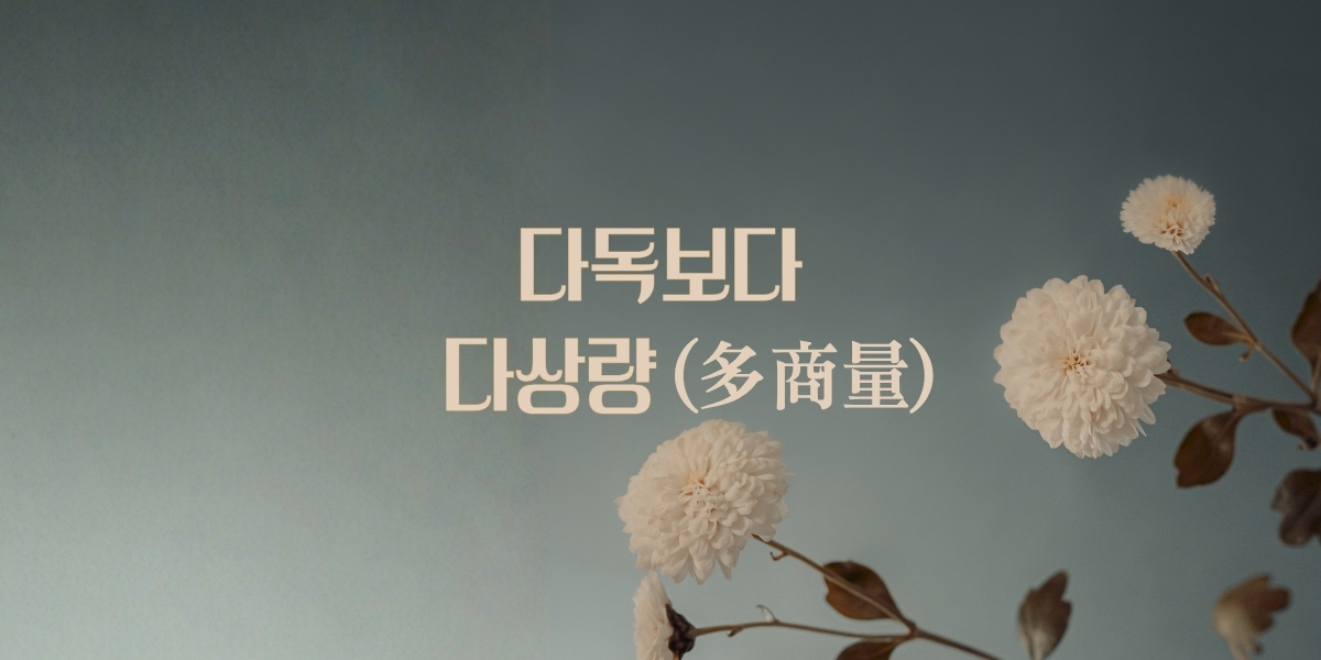 47호: 다독보다 다상량(多商量) 🧶의 썸네일 이미지