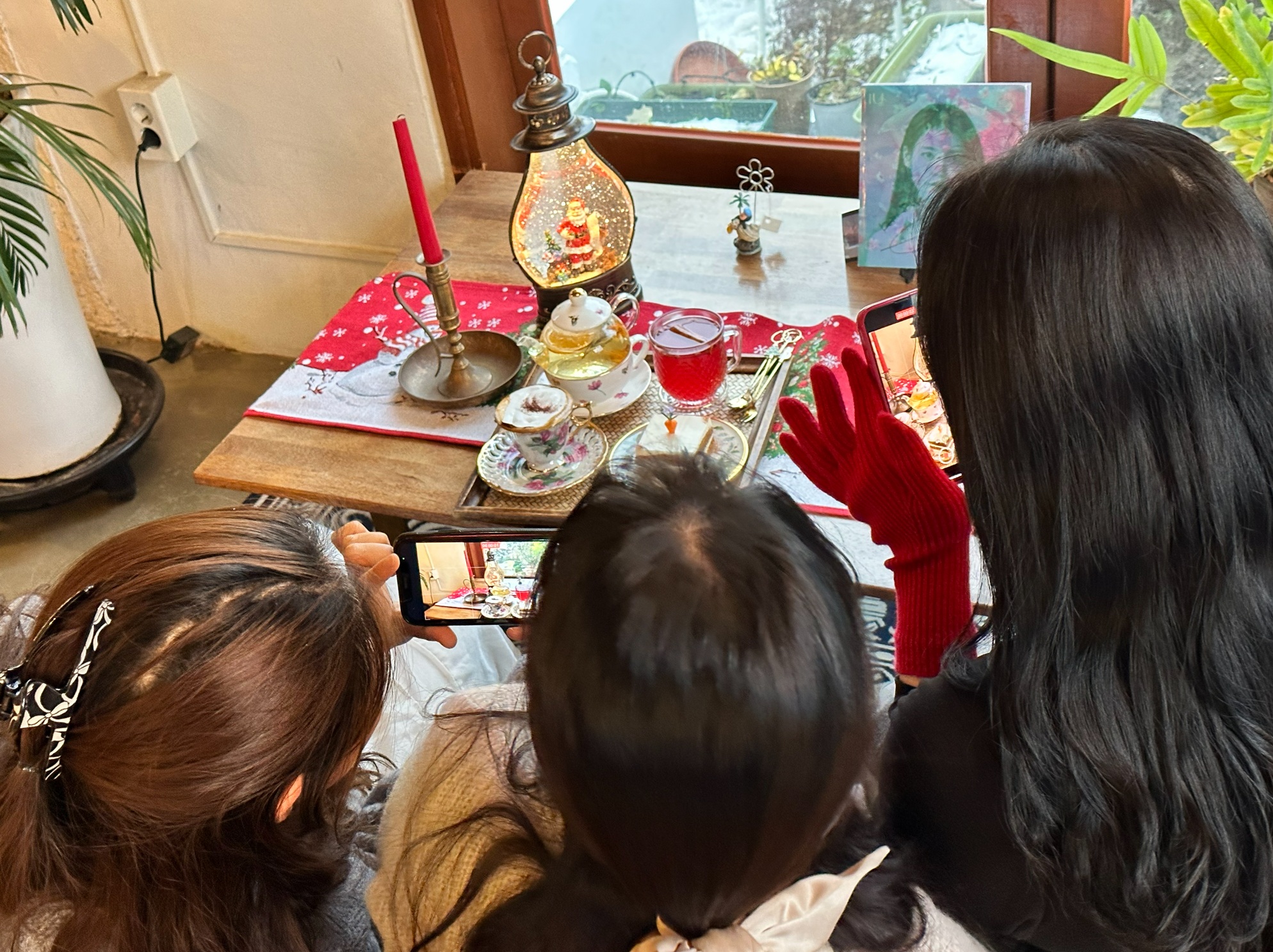 제주에서 함께 동백꽃 보러 갔다가 너무 친해져서 아직까지도 잘 만나고 있습니다. 카페 사장님도 친해졌어요