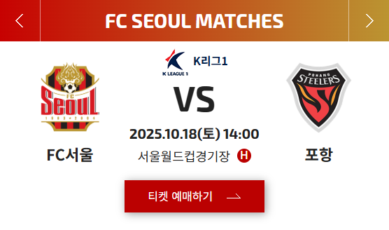 (출처=FC서울 공식 홈페이지 스크린샷)