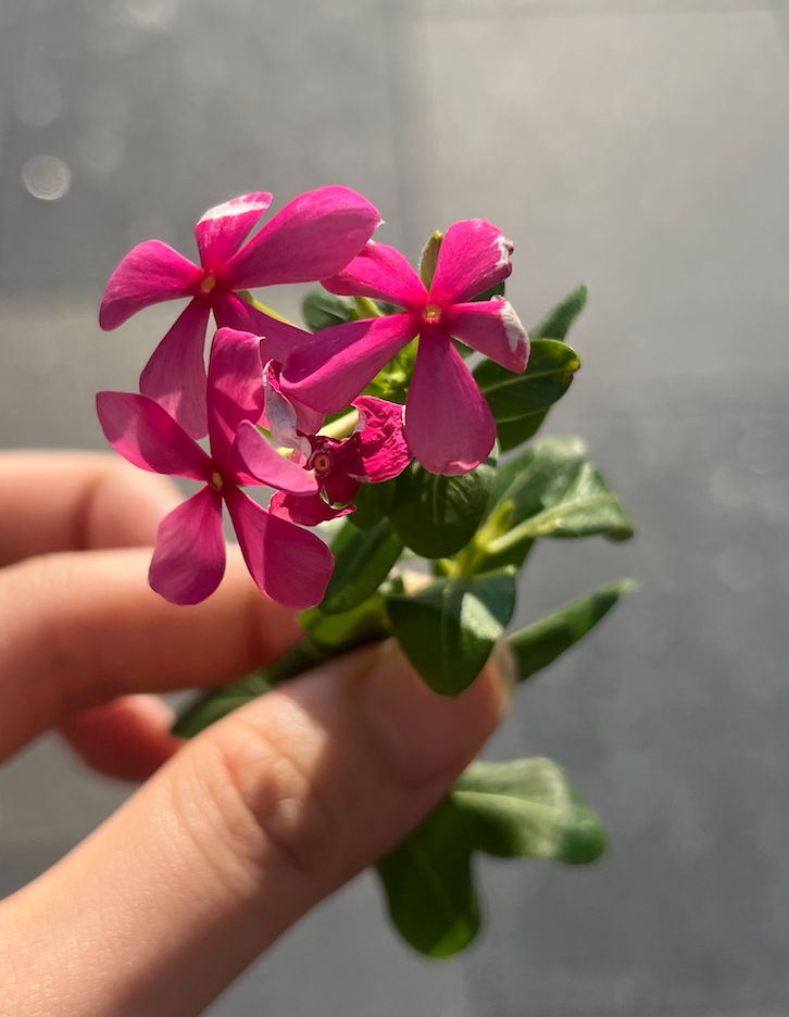 📮 서로 Vol.006의 썸네일 이미지