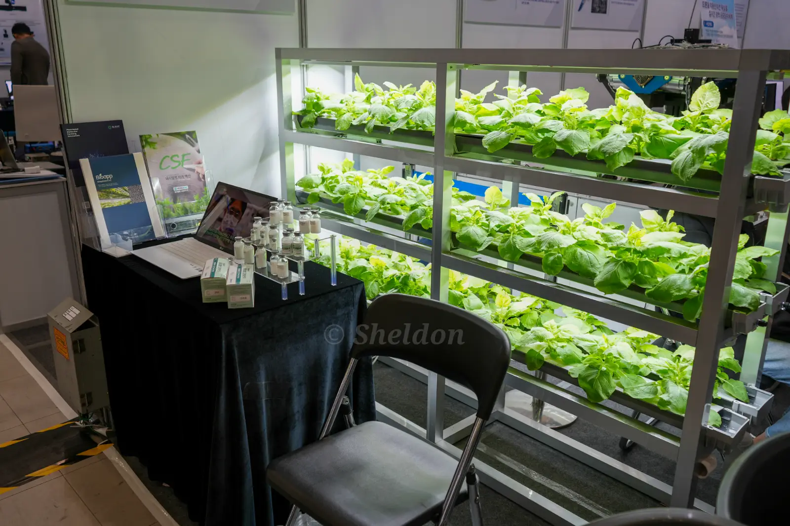 생물무기 대응을 위한 식물기반 백신 개발의 썸네일 이미지