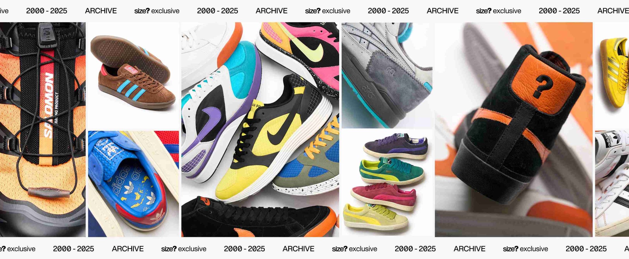 25 Years of size? | The Exclusive Edition