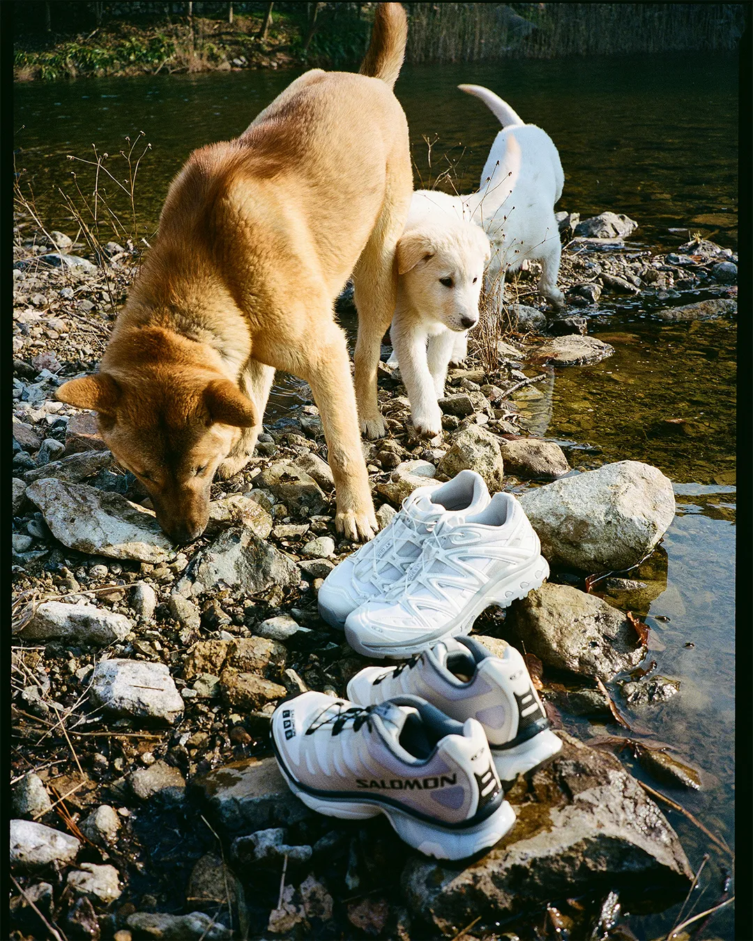 ์ด๋ก๋ชฌ ์ง๋