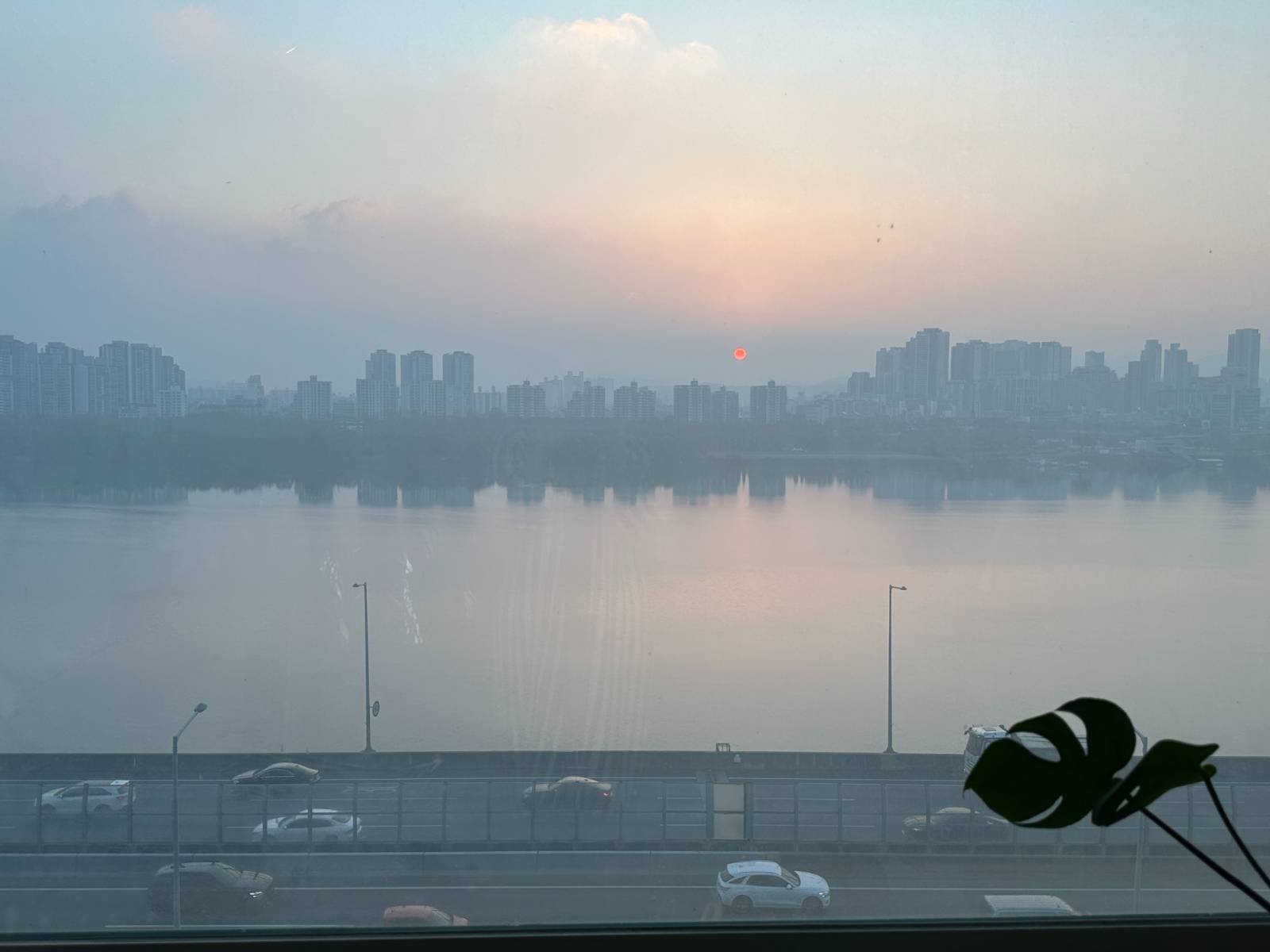 매일 새로운 해가 뜨듯이, 기분 좋은 '시작의 기운'이 여러분에게 전해지기를!