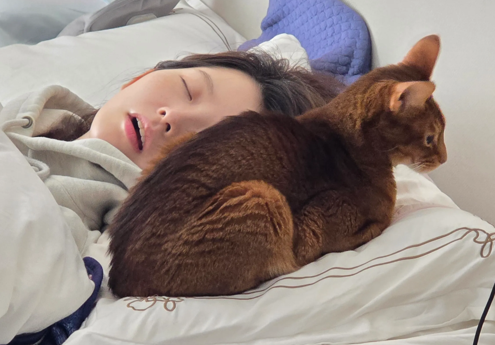 잠이 자꾸 온다