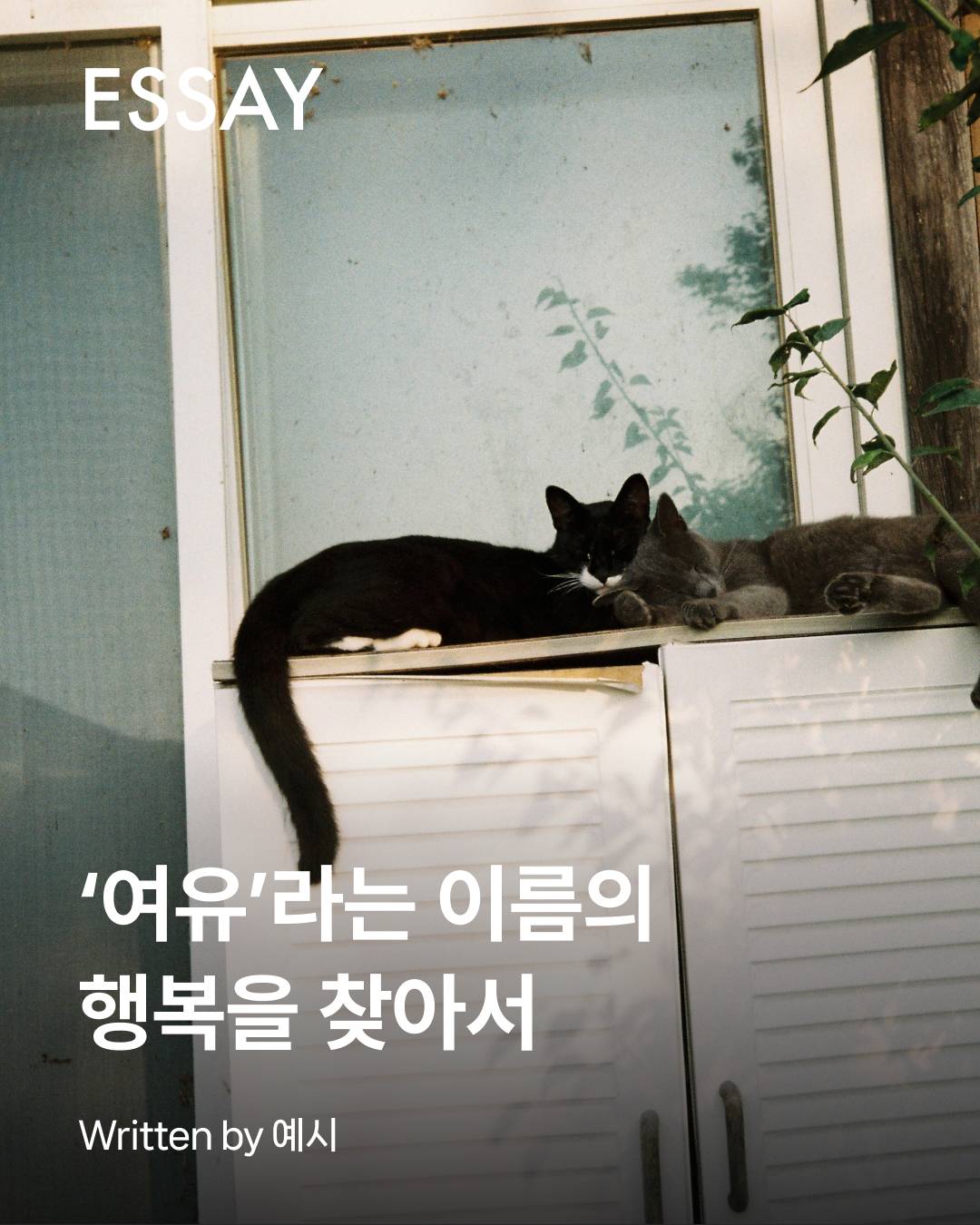 첨부 이미지
