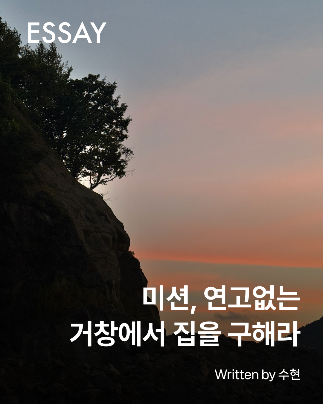 첨부 이미지