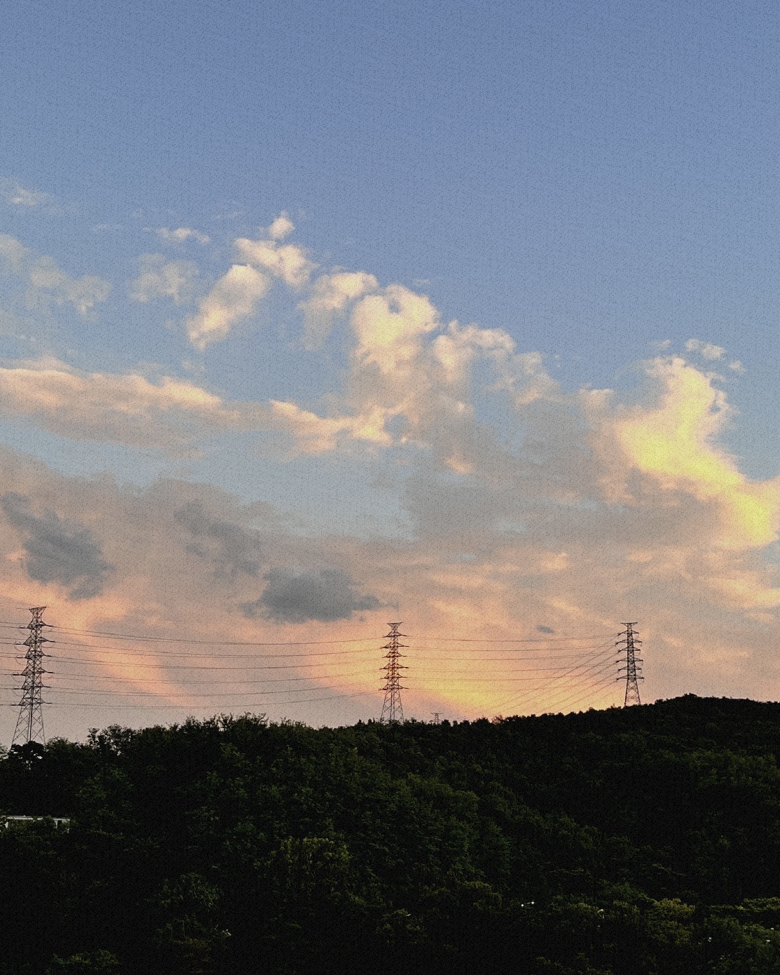 다가오는 가을, 감기 조심하세요!의 썸네일 이미지