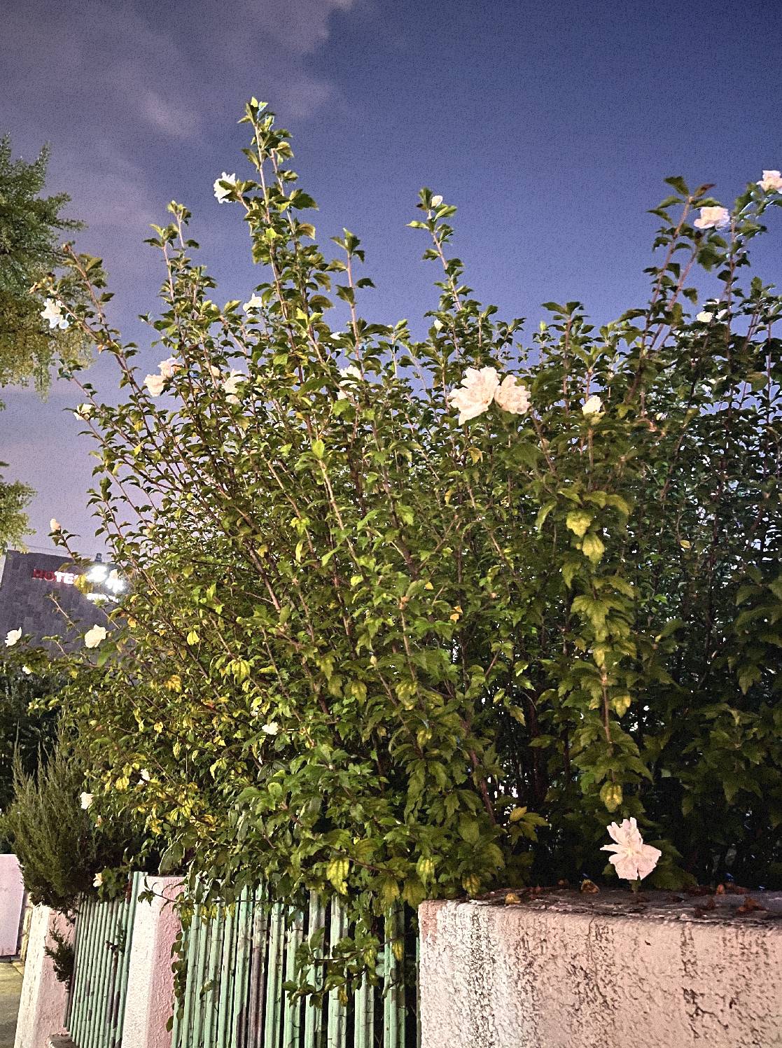 보름달처럼 1조의 마음도 환해지길 바라요의 썸네일 이미지