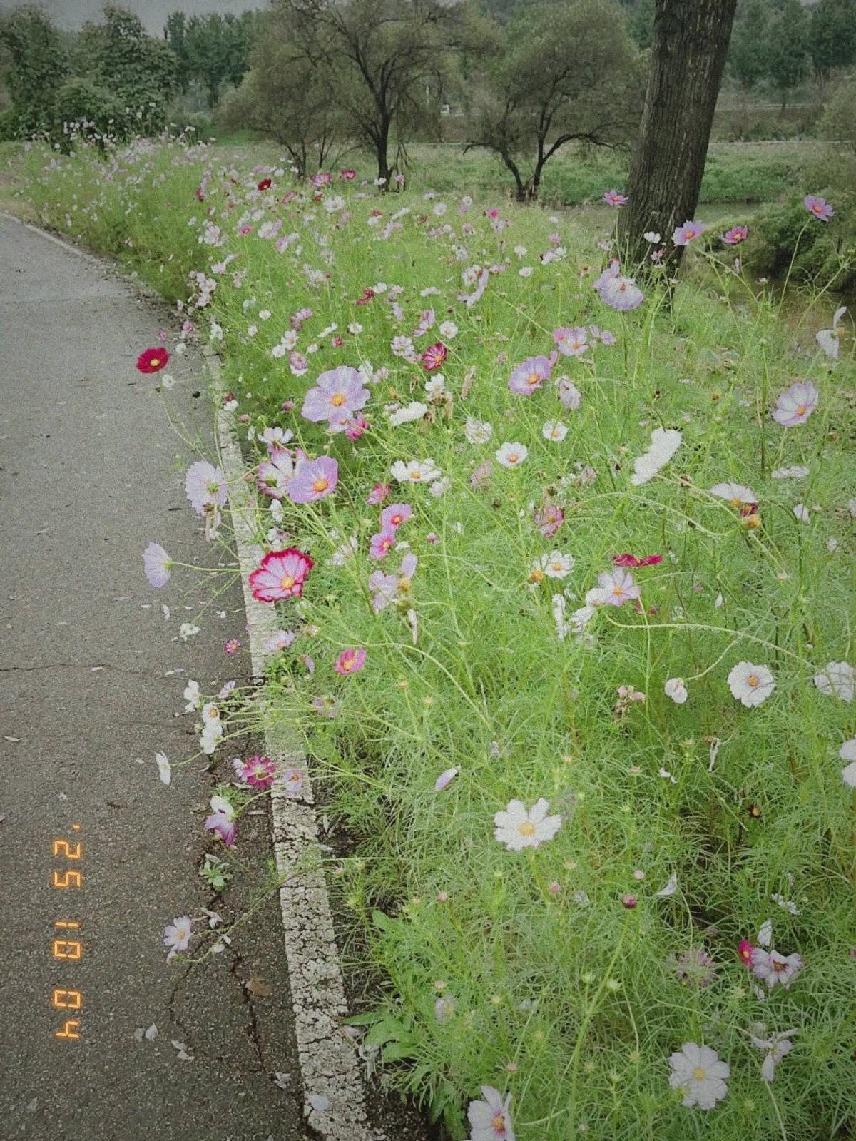성찰을 양분 삼아의 썸네일 이미지