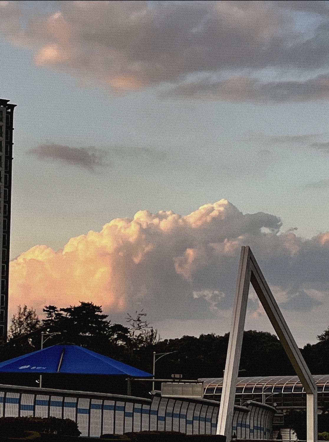 등척성 운동이라고 아시나요?의 썸네일 이미지