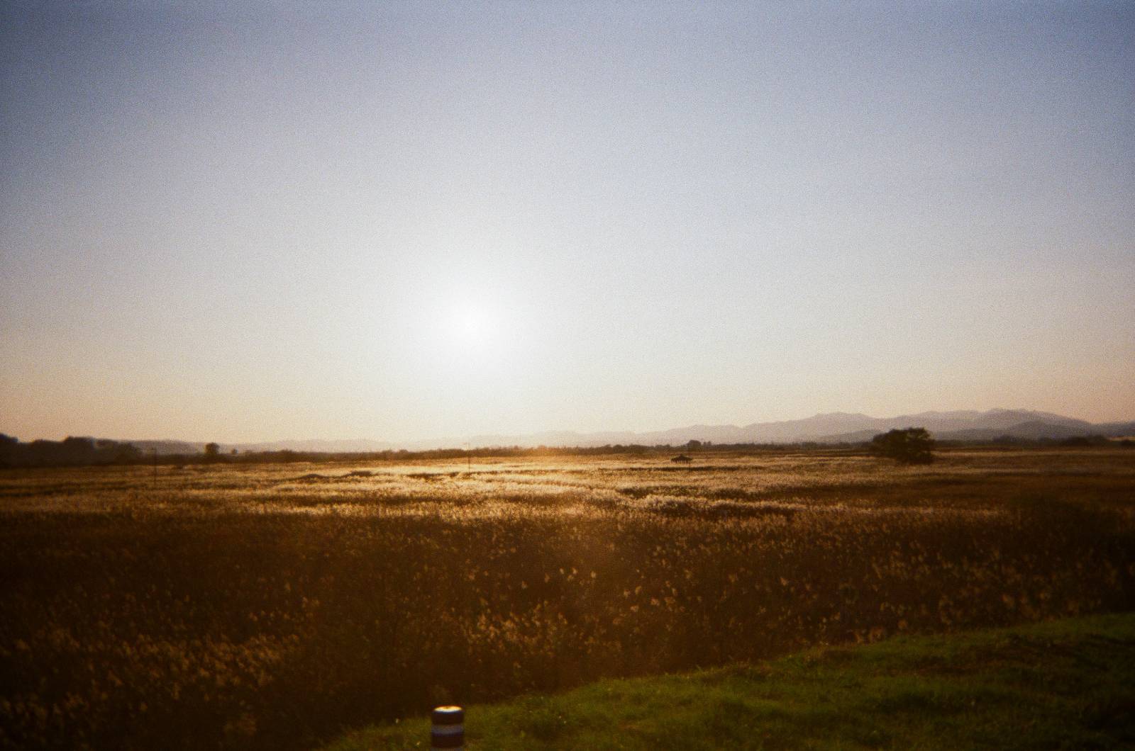 너무 많이 느끼는 사람의 외로움에 대하여의 썸네일 이미지