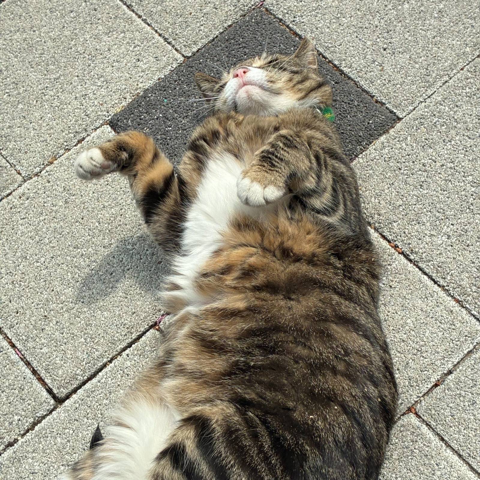 첨부 이미지