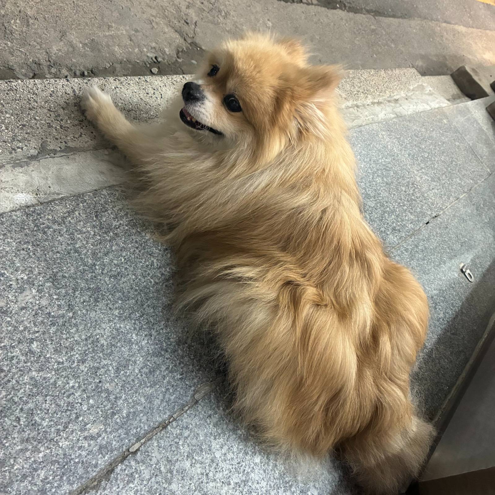 첨부 이미지