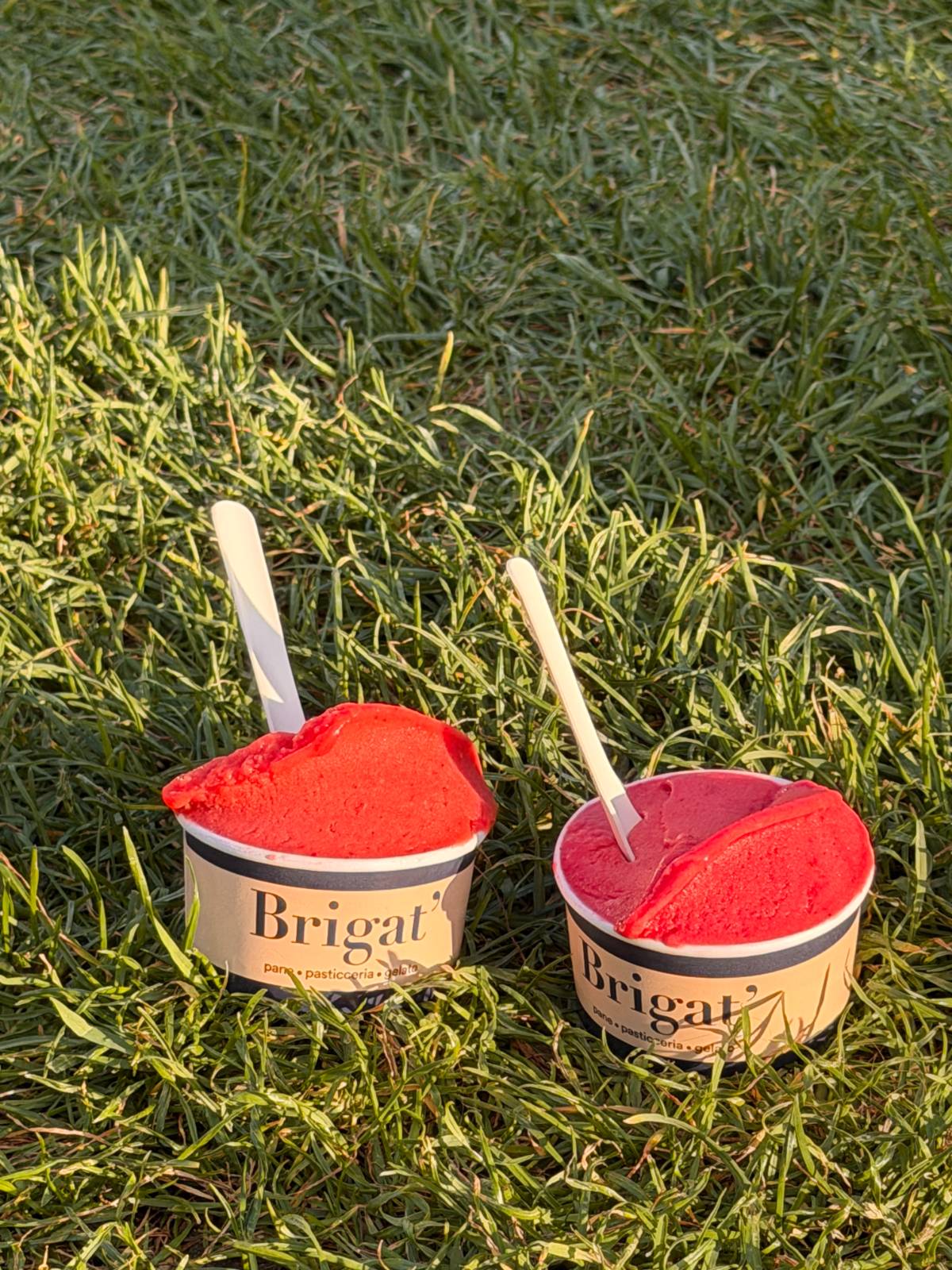 Brigat' Gelato에서 산 아이스크림
