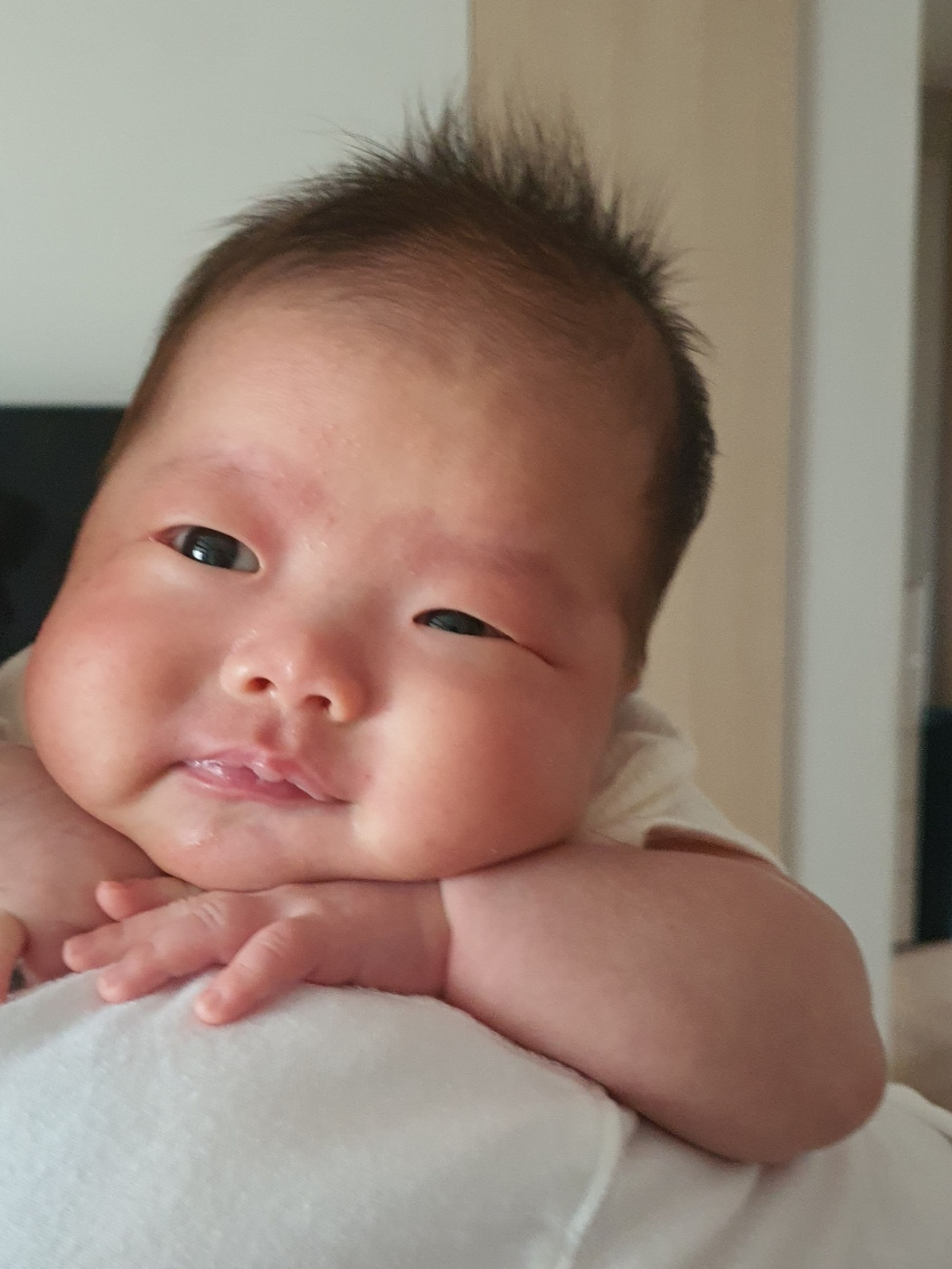 이렇게 귀여운 생명체가 나에게 찾아오다니...!