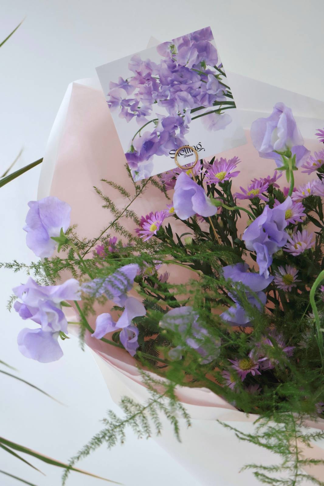 엽서를 딱 2종류 만들었는데 그 중 하나가 보라색 스위트피, 마침 보라색 스위트피 다발 주문이 들어와서 반가운 마음