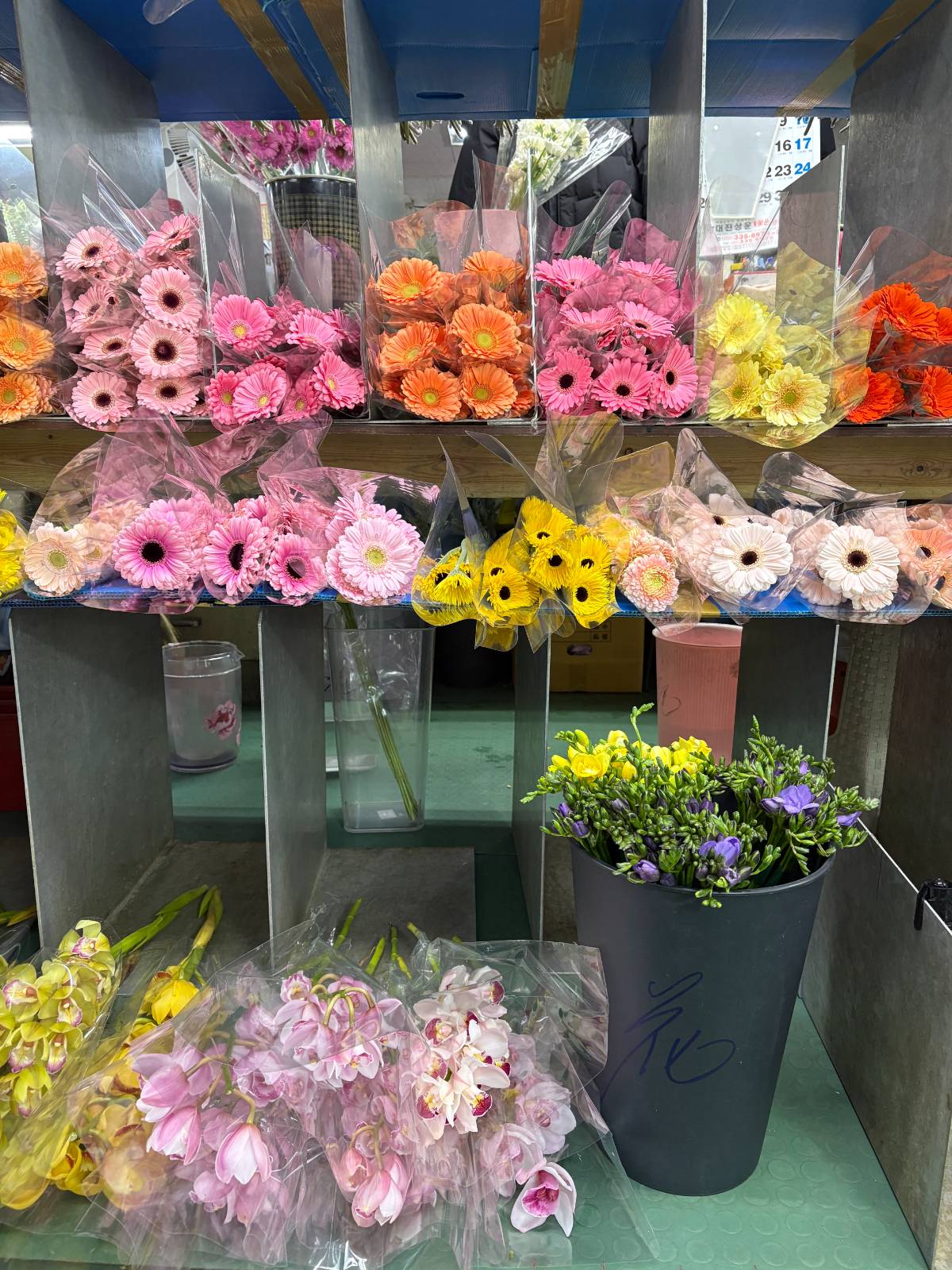 제가 좋아하는 알록달록 거베라들