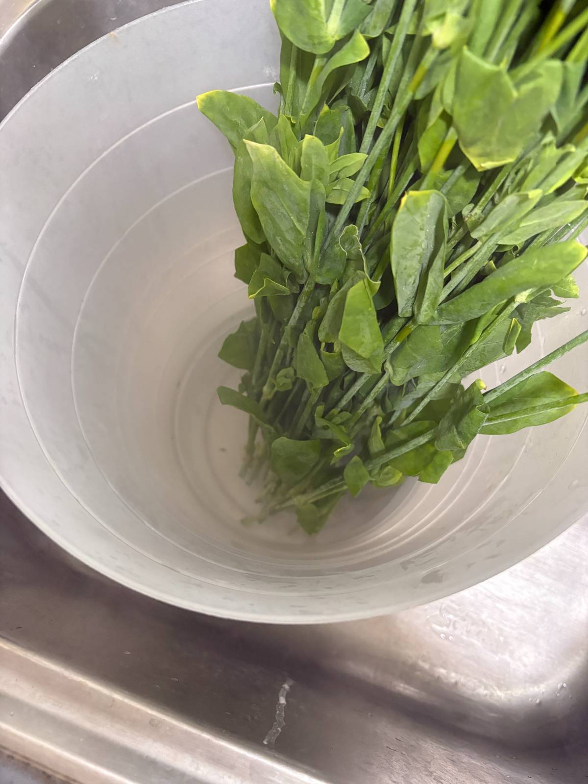 뜨거운 물에 줄기 끝을 지져서 공기 구멍 열어주는 열탕